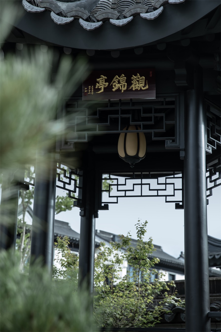 1685948302104167.jpg 0V0A1100.jpg